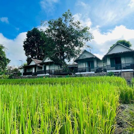 Hotel Krathom Doi Luang Chiang Dao Esterno foto