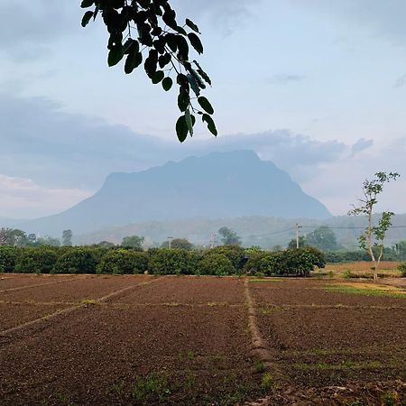 Hotel Krathom Doi Luang Chiang Dao Esterno foto