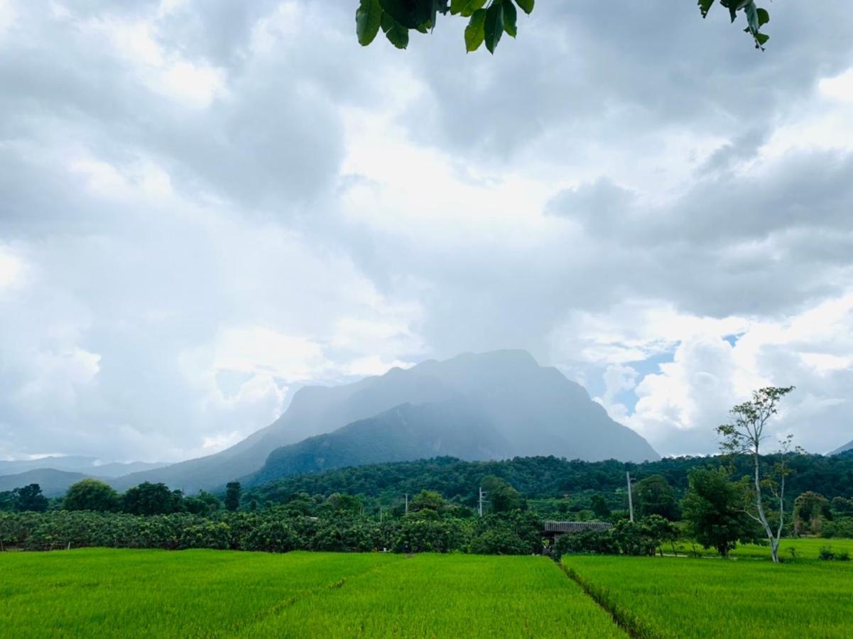 Hotel Krathom Doi Luang Chiang Dao Esterno foto