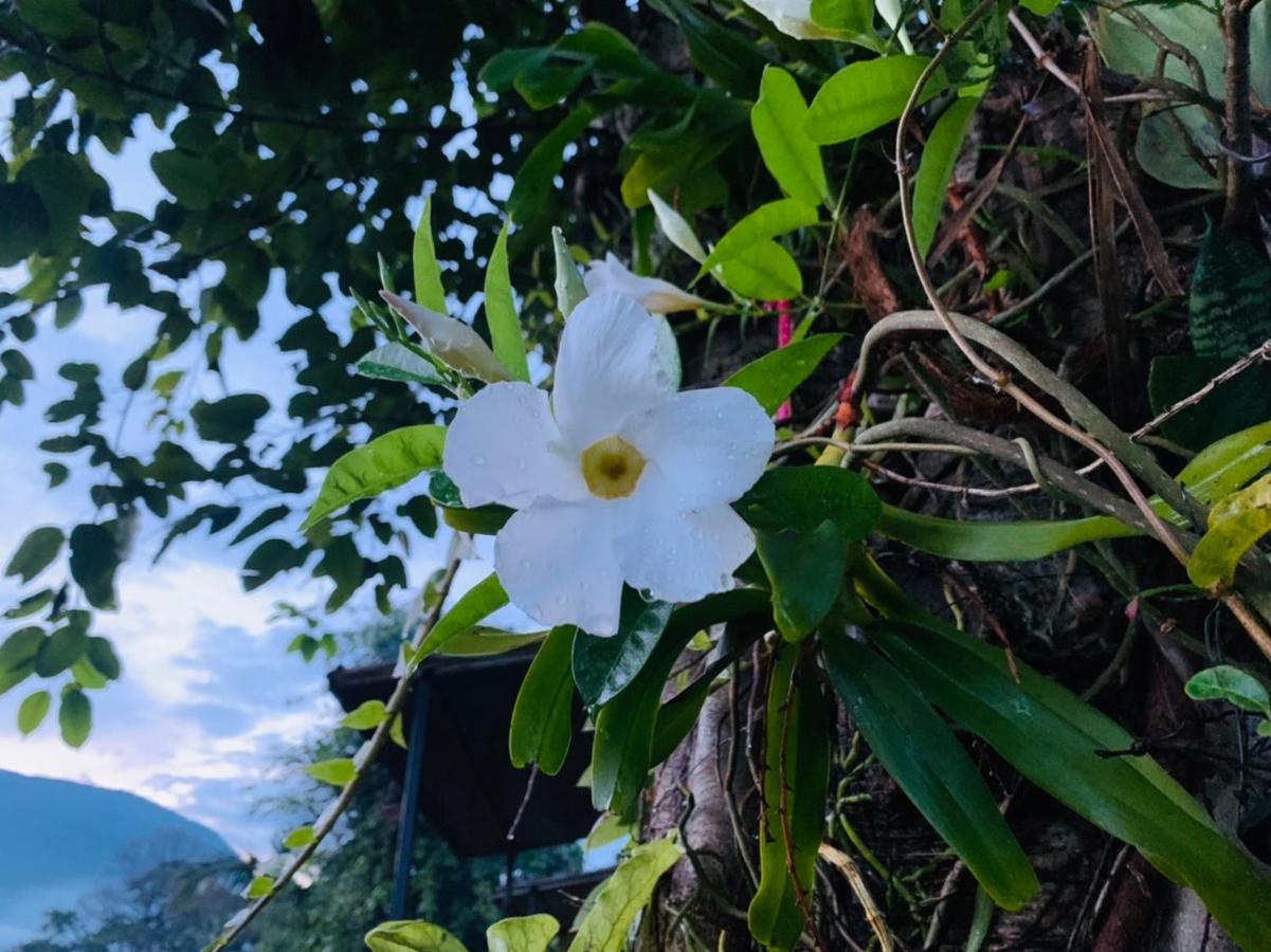 Hotel Krathom Doi Luang Chiang Dao Esterno foto