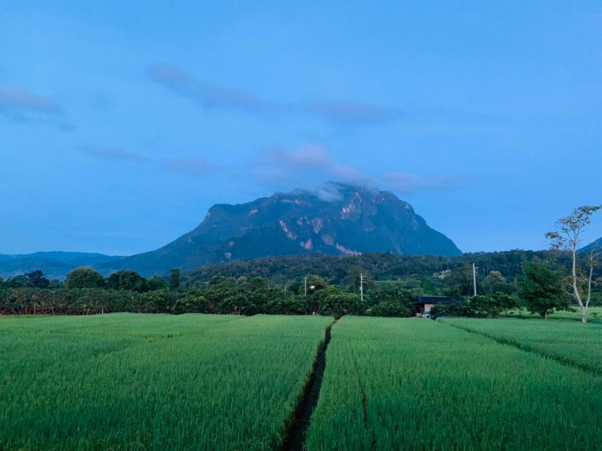 Hotel Krathom Doi Luang Chiang Dao Esterno foto