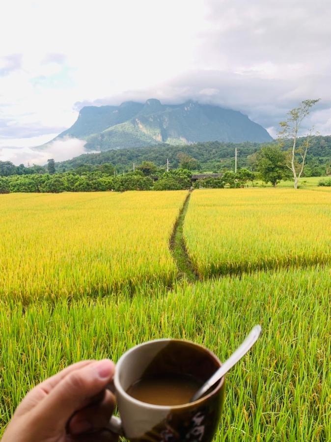 Hotel Krathom Doi Luang Chiang Dao Esterno foto