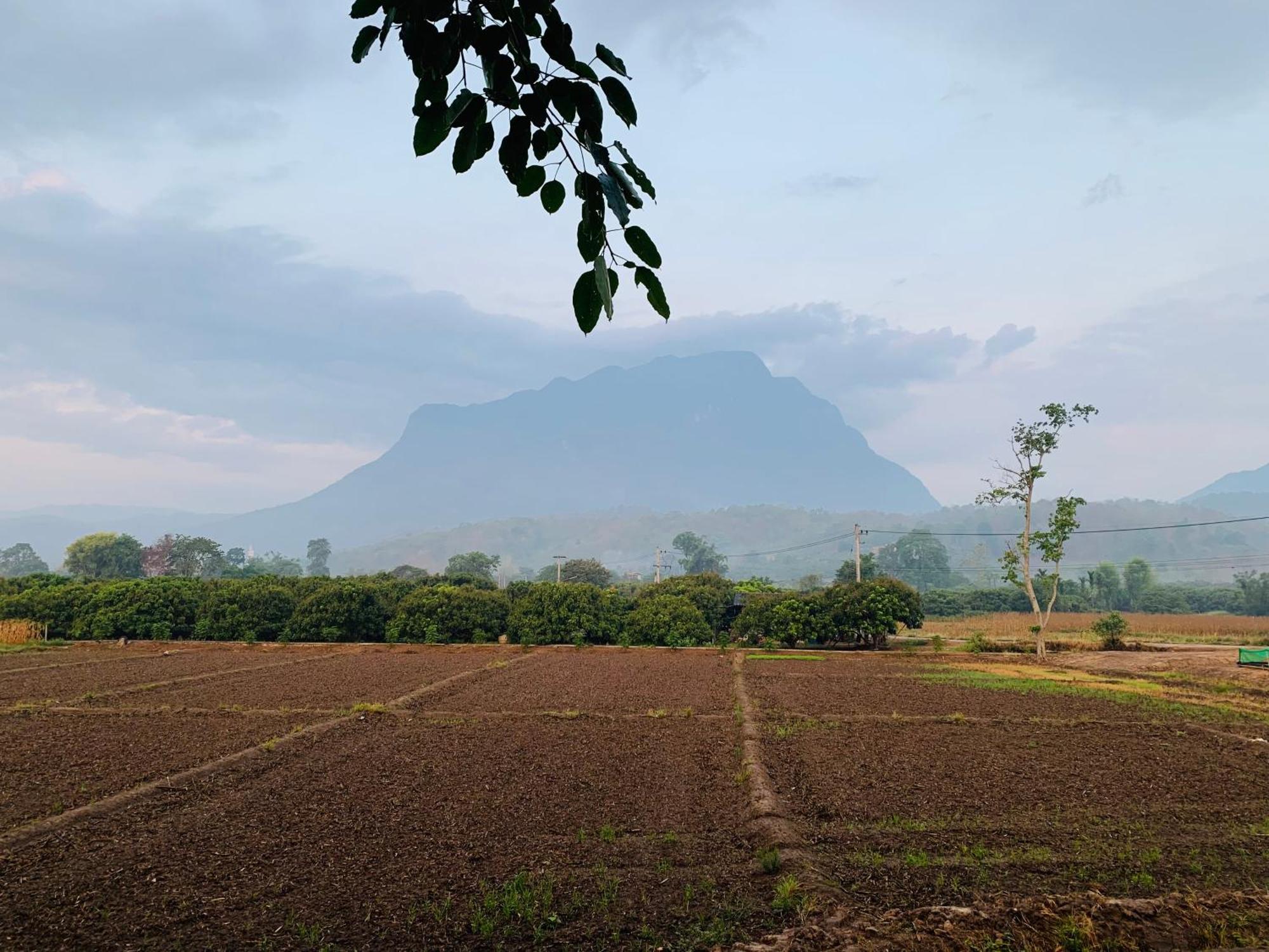 Hotel Krathom Doi Luang Chiang Dao Esterno foto